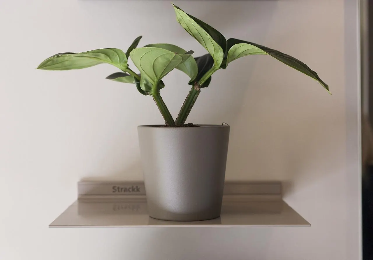 Hotel Destinationbcn - Universitat Rooms Barcelona